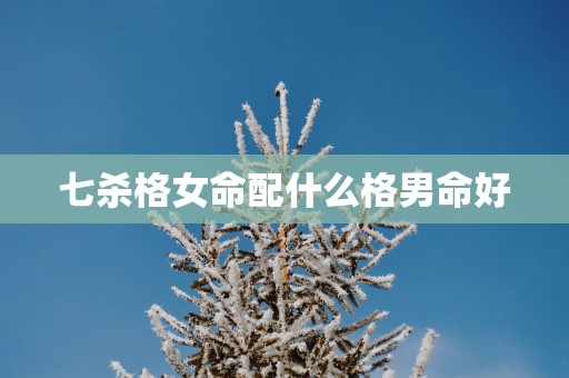 七杀格女命配什么格男命好