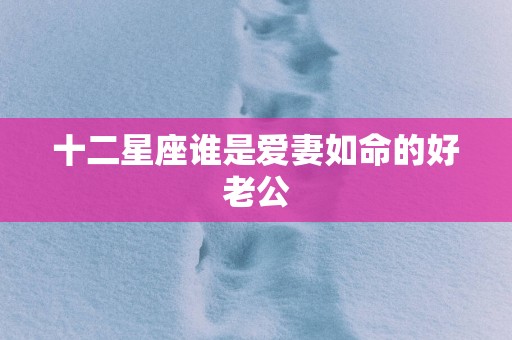 十二星座谁是爱妻如命的好老公