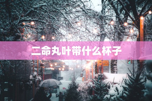二命丸叶带什么杯子