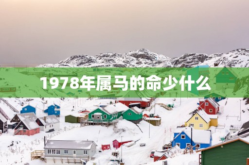 1978年属马的命少什么