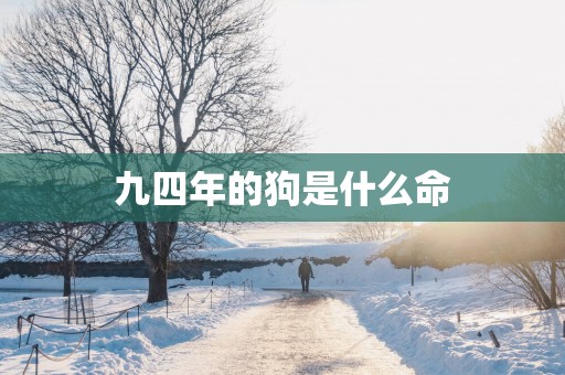 九四年的狗是什么命