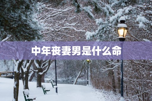 中年丧妻男是什么命
