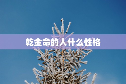 乾金命的人什么性格