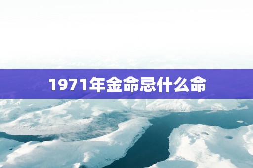 1971年金命忌什么命