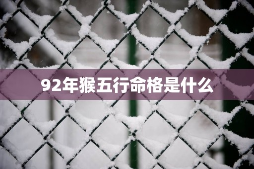 92年猴五行命格是什么