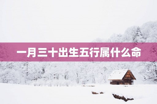 一月三十出生五行属什么命