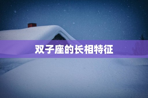 双子座的长相特征
