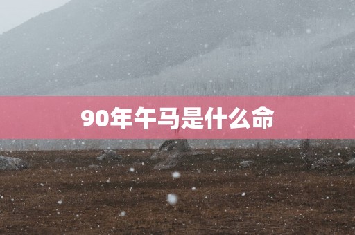 90年午马是什么命