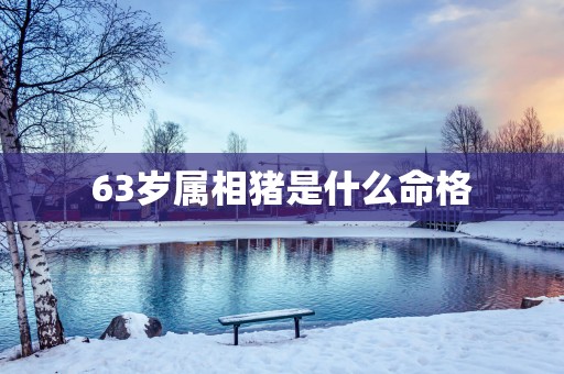 63岁属相猪是什么命格