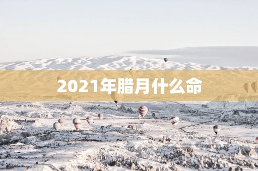 2025年腊月什么命