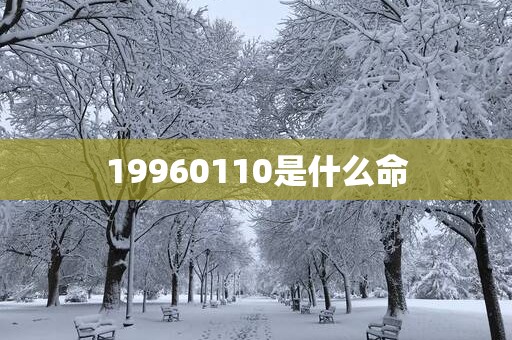 19960110是什么命