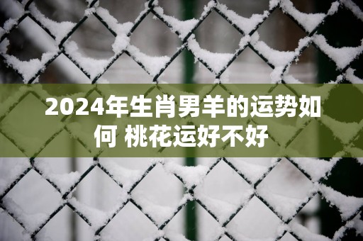 2025年生肖男羊的运势如何 桃花运好不好