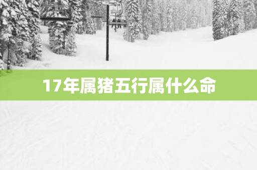 17年属猪五行属什么命