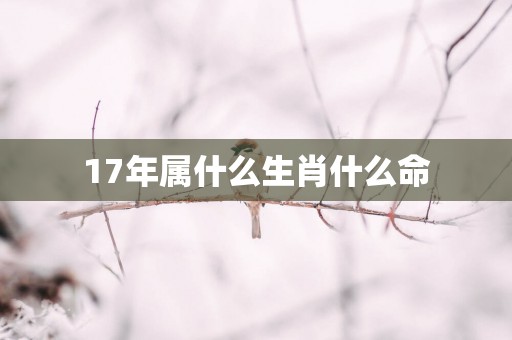 17年属什么生肖什么命