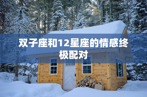双子座和12星座的情感终极配对