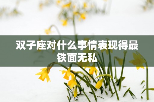 双子座对什么事情表现得最铁面无私