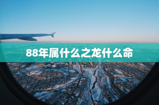 88年属什么之龙什么命