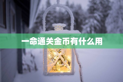 一命通关金币有什么用