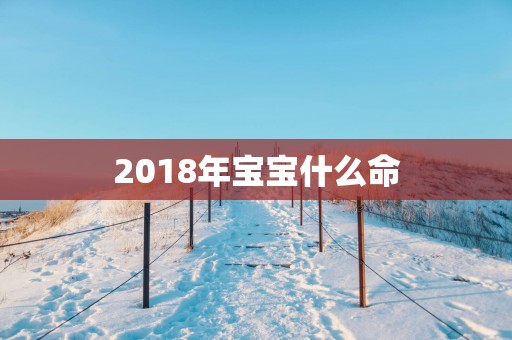 2018年宝宝什么命