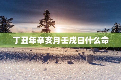 丁丑年辛亥月壬戌日什么命