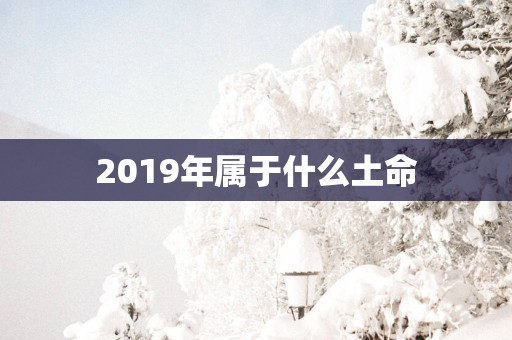 2019年属于什么土命 2019年属于什么土命