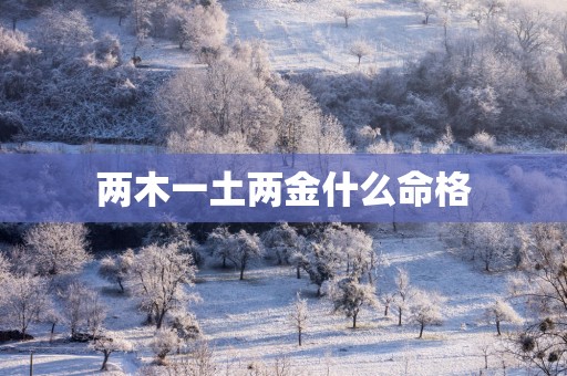 两木一土两金什么命格