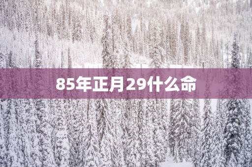 85年正月29什么命