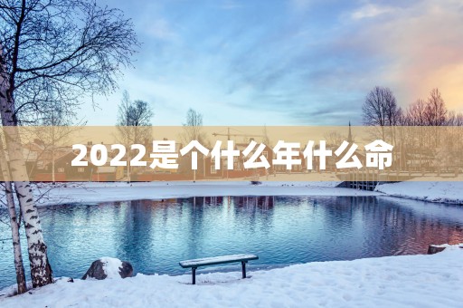 2025是个什么年什么命