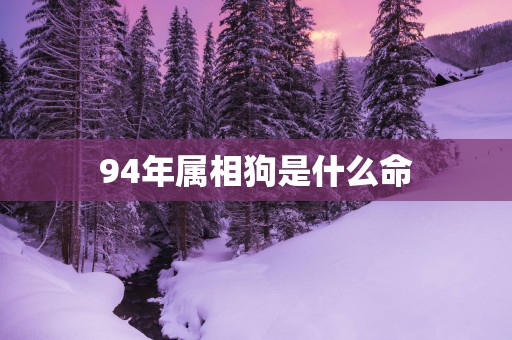 94年属相狗是什么命