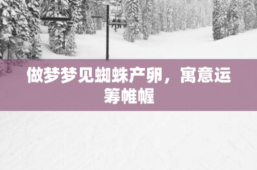 做梦梦见蜘蛛产卵，寓意运筹帷幄