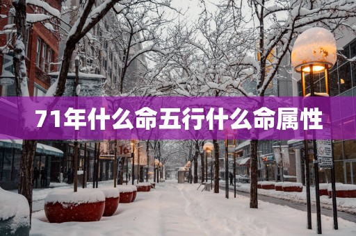 71年什么命五行什么命属性