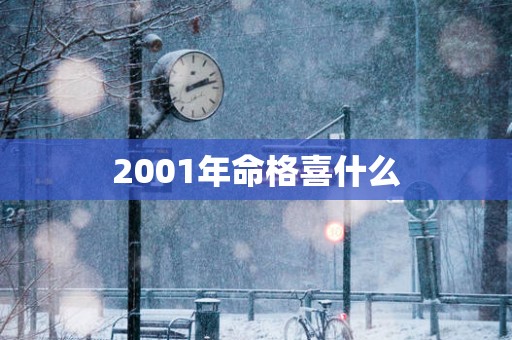 2001年命格喜什么
