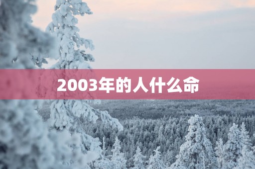 2003年的人什么命