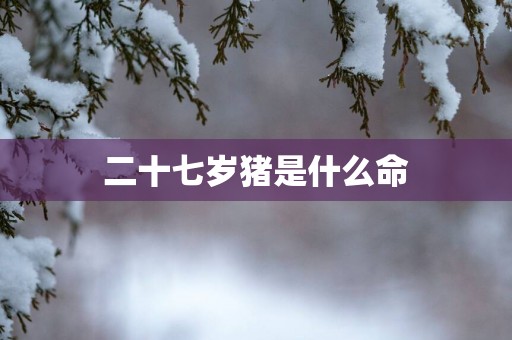 二十七岁猪是什么命