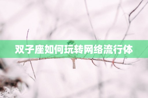 双子座如何玩转网络流行体