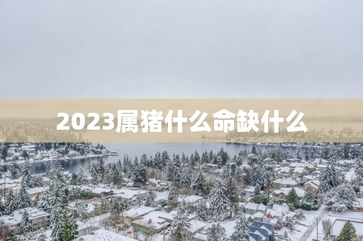 2025属猪什么命缺什么