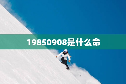 19850908是什么命