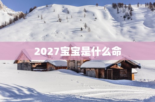 2027宝宝是什么命