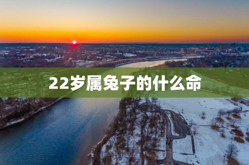22岁属兔子的什么命