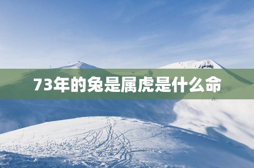 73年的兔是属虎是什么命