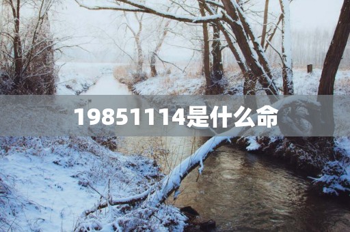 19851114是什么命