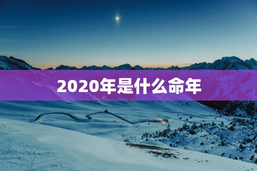 2025年是什么命年