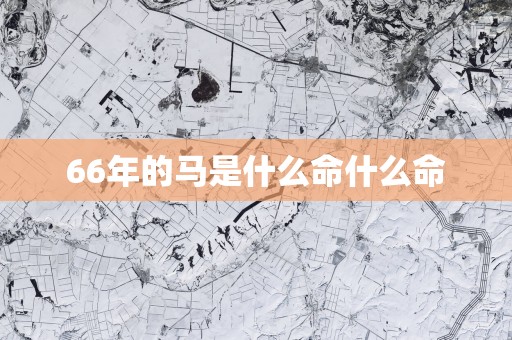 66年的马是什么命什么命