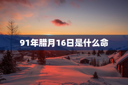 91年腊月16日是什么命