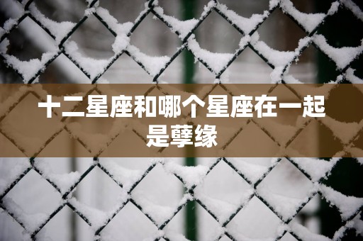 十二星座和哪个星座在一起是孽缘