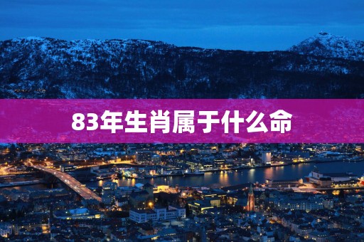83年生肖属于什么命