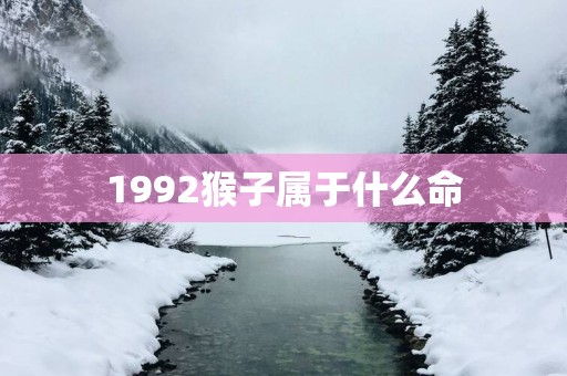 1992猴子属于什么命