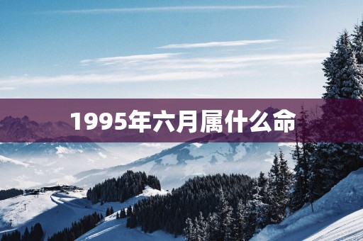 1995年六月属什么命