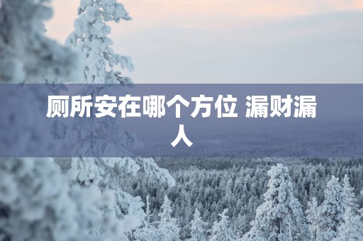 厕所安在哪个方位 漏财漏人