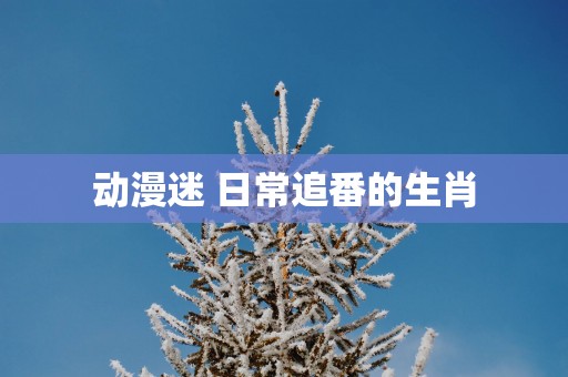 动漫迷 日常追番的生肖